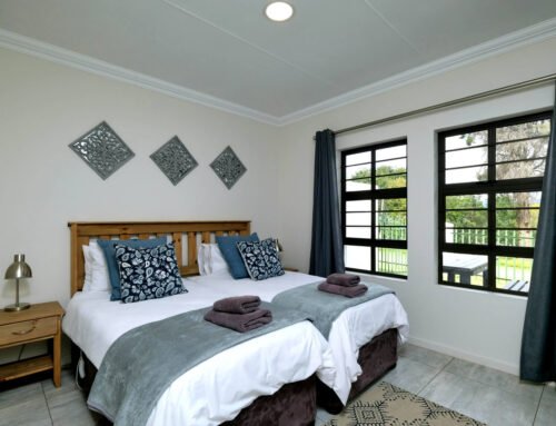 采光通风大揭秘：教你一眼看穿房子的“呼吸”与“明亮”密码