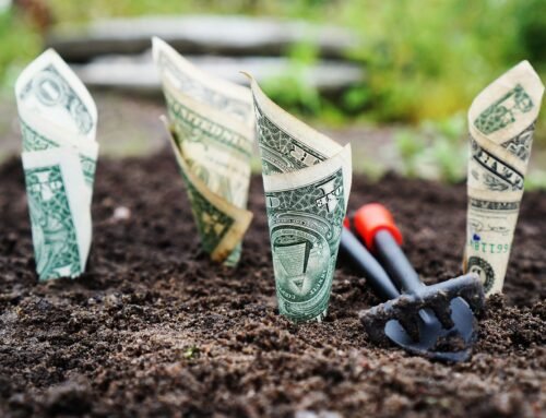 Best High-Yield Savings Accounts 2026: Maximize Your Returns